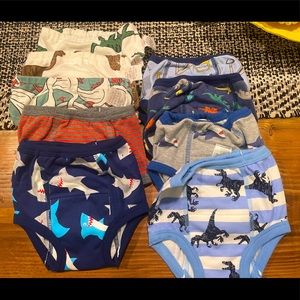 Toddler Training Underwear 2T/3T